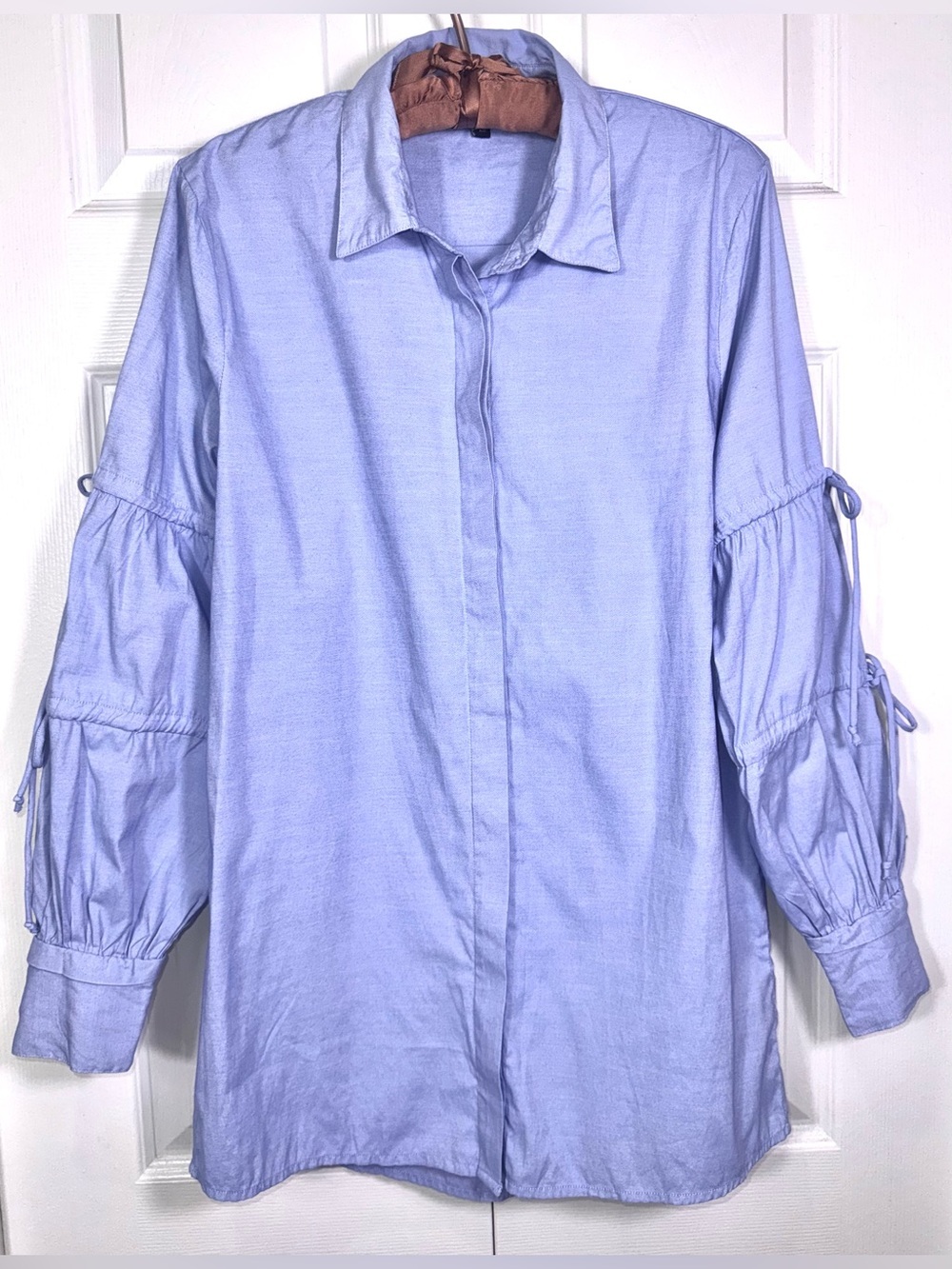 Walter Baker Hidden Button Down Blouse XS Light Blue Puff Sleeve Tie Detail
